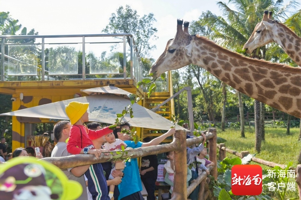 萌兽闹春+展区升级！海南热带野生动植物园春节“上新”