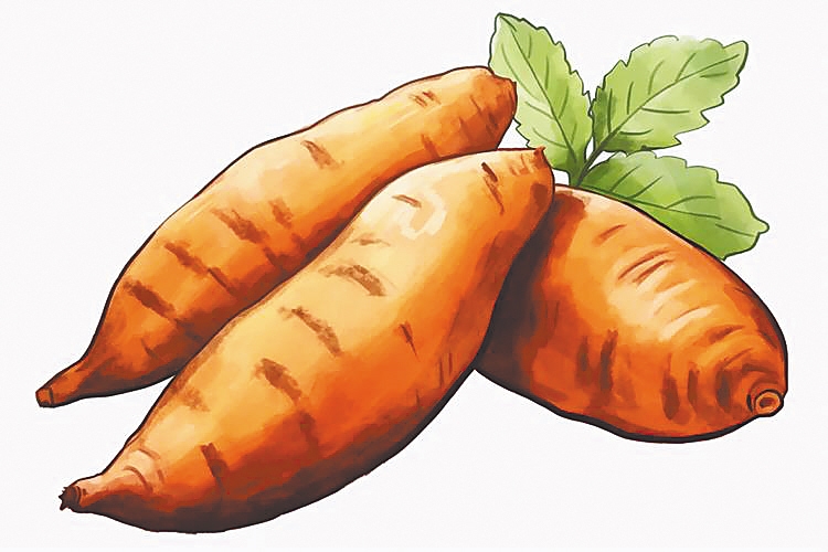 海南冬蔬养生智慧 藏着满满的健康密码