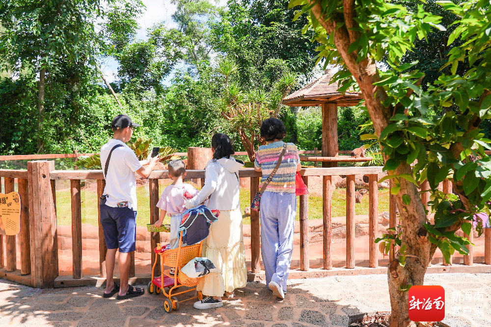 海口四大热门景区“双节”推出信易游优惠活动