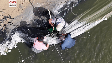 新疆巴博鱼体育- 博鱼体育官网- APP下载世界杯指定平台州：“死亡之海”爆改“鱼米之乡”