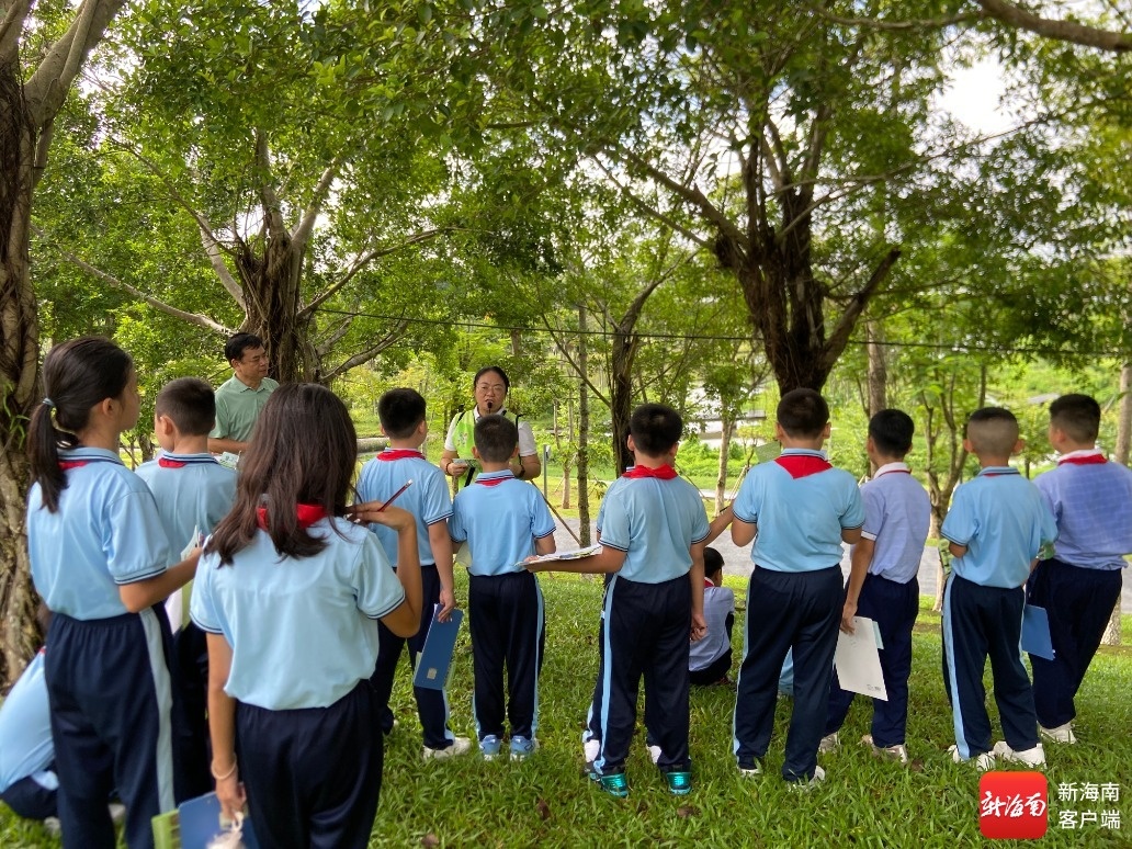 海口丁村小学开学第一课湿地研学点燃生态热情