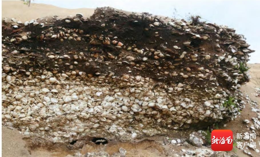 三亚市海棠区四普新发现 英墩遗址助力解码史前文化