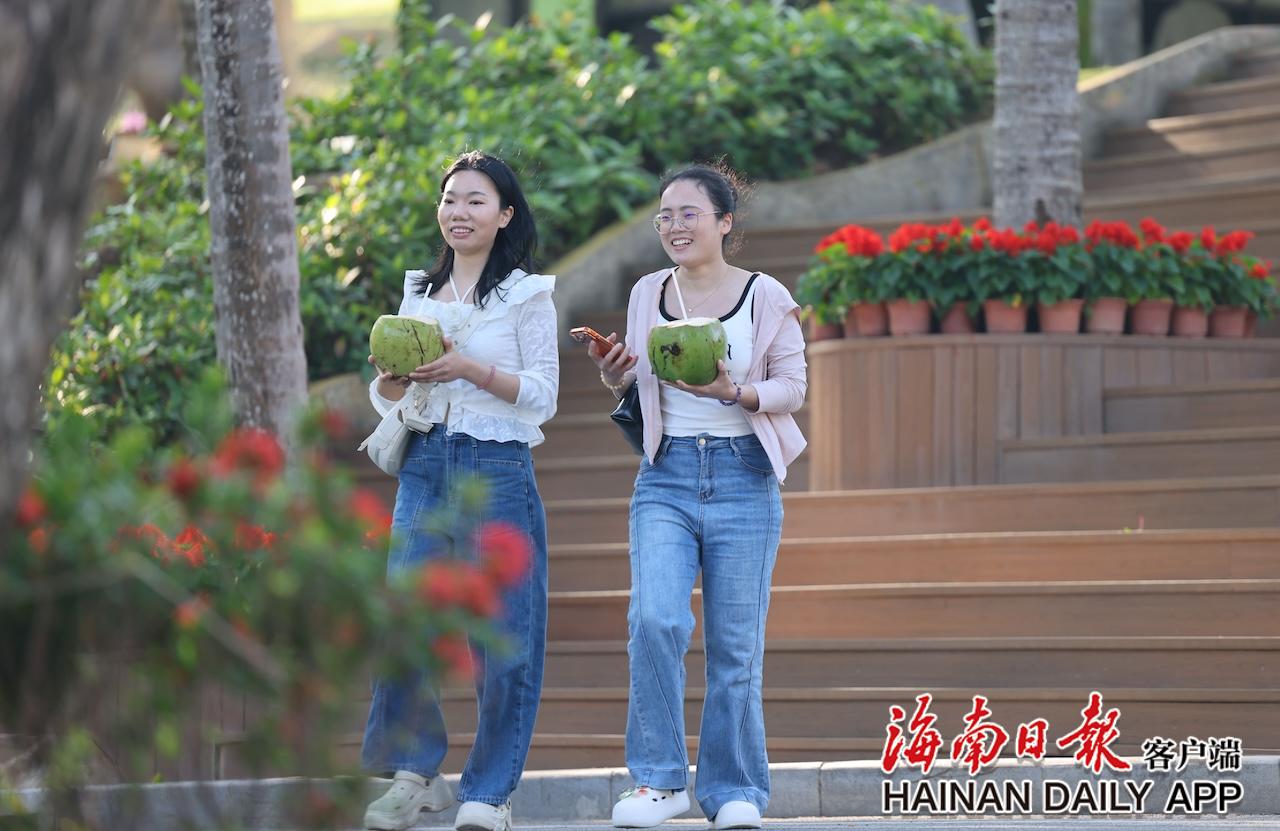 三亚：冬日旅游热 游客享椰风海韵美景